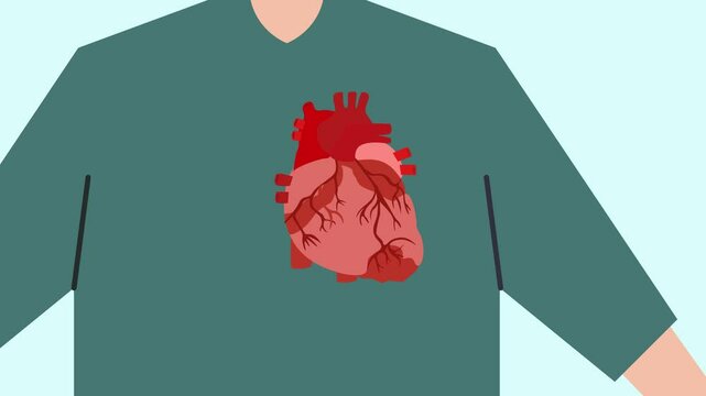 Animated video Human body anatomy concept. Full length animation illustration. High quality 4k footage.