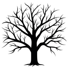 Obraz premium Bare tree branches vector illustration. 