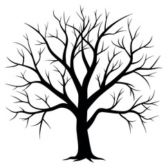 Obraz premium Bare tree branches vector illustration. 