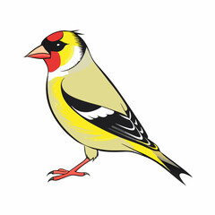 vector illustration of an American goldfinch bird