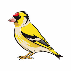 vector illustration of an American goldfinch bird