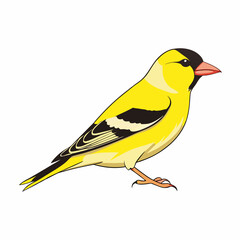 vector illustration of an American goldfinch bird