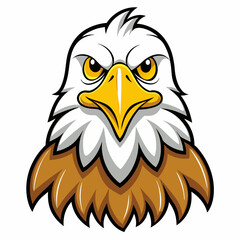 bald eagle on a white background