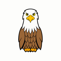 bald eagle on a white background