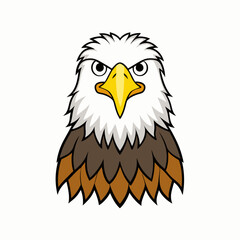 bald eagle on a white background