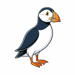 puffin on white background