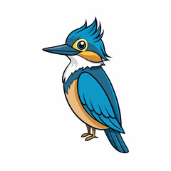 kingfisher on branch