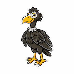 black vulture isolated on white