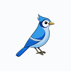 blue jay bird on white background