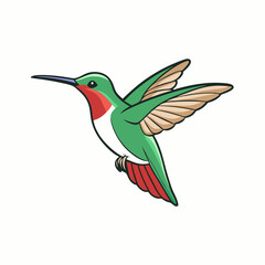 hummingbird in flight