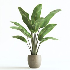 Tropical plant in pot, vibrant green foliage