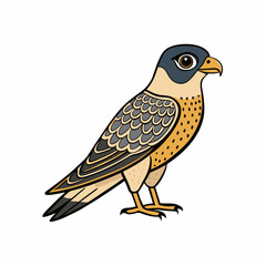 common nighthawk on white background