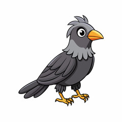 vector illustration of a jackdaw bird