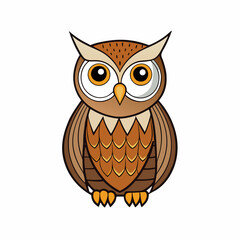 owl on white background