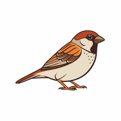 sparrow bird on a branch