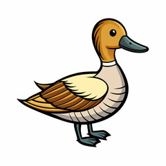 duck isolated on white northern pintail