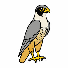 bird on a branch peregrine falcon