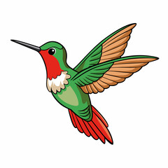 hummingbird in flight