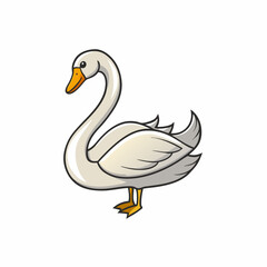 vector illustration of a swan