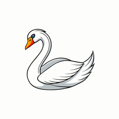 vector illustration of a swan