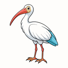 ibis on white background