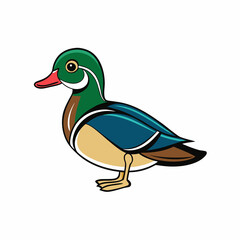 duck isolated on white