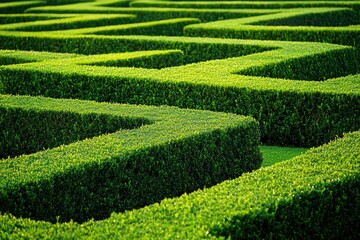 A meticulously manicured green hedge maze, forming intricate pathways and patterns in a garden.