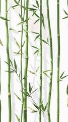 Fototapeta premium Bamboo Arrangement