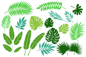 Summer palm leaf vector green plant, exotic nature set isolated on white background. Jungle illustration