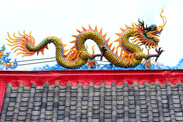 Fototapeta premium chinese dragon statue