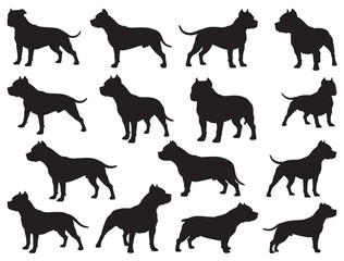 AMERICAN PI BULLDOGS SILHOUETTE WHITE BACKGROUND