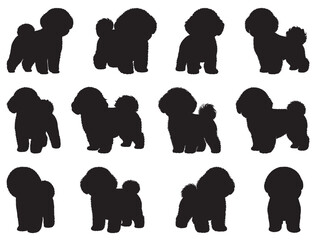 BACHON FRISE DOGS SILHOUETTE WHITE BACKGROUND