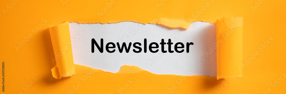 Poster conceptual writing text showing newsletter