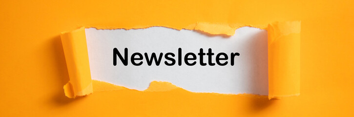 conceptual writing text showing newsletter