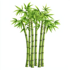 Fototapeta premium Tall and Dense Bamboo Stalks Clustered Together in Bright Green Colors