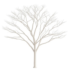 Fototapeta premium A white tree with no leaves. The tree is bare and has no leaves. It is a very simple and minimalistic image