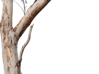Fototapeta premium A tree trunk with a large crack in it. The trunk is leaning to the right. The trunk is brown and has a few white spots