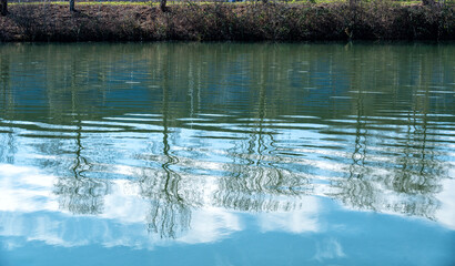 Baumkronen spiegeln sich an der Wasseroberfläche eines Flusses