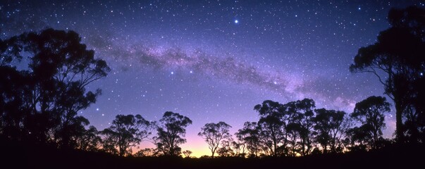 Celestial Canvas: Milky Way over Australian Outback