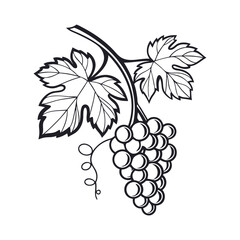 Obraz premium black and white grapes icon vector silhouette illustration 