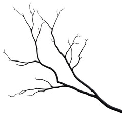 A tree branch is shown in black and white. The branch is thin and long, with no leaves or other visible details. The image has a minimalist and stark appearance, emphasizing the simplicity