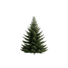 A tall evergreen tree stands alone on a white background. The tree is full and green, with no visible signs of damage or disease. Concept of peace and tranquility, as the tree stands tall and proud