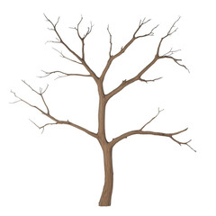 Obraz premium A tree with no leaves is depicted in a white background. The tree appears to be bare and lifeless, with no signs of growth or vitality. Concept of emptiness and desolation