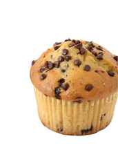 Single Chocolate Chip Muffin Isolated