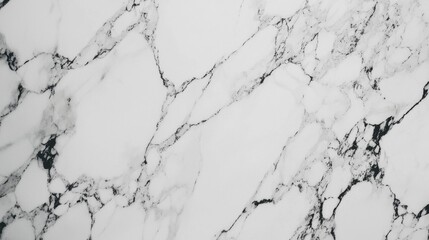 Obraz premium White Marble Surface with Black Veins for Elegant Design Projects