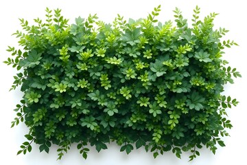 Obraz premium Lush Green Plant Wall Decor Image for Home or Garden Design