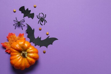 Different Halloween decorations including pumpkins, spiders and bats with confetti on color...