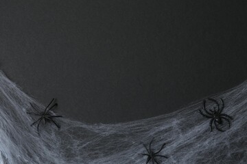 Halloween holiday decorations including cobwebs and  spiders on a black background