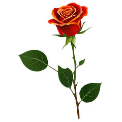 Obraz premium Stunning rose with glowing edges and vibrant colors against a warm, blurred background, highlighting its elegance and beauty
