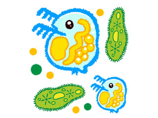 ミドリムシとミジンコの落書き風イラスト素材